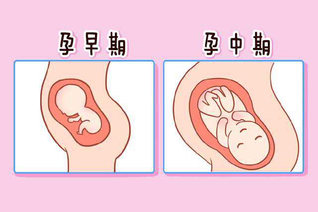 供卵试管婴儿来坤和助孕,供卵自怀快来坤和助孕